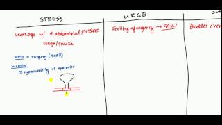 Urinary Incontinence for USMLE