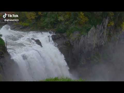 download lagu mp3 mp4 Aa 1111, download lagu Aa 1111 gratis, unduh video klip Aa 1111