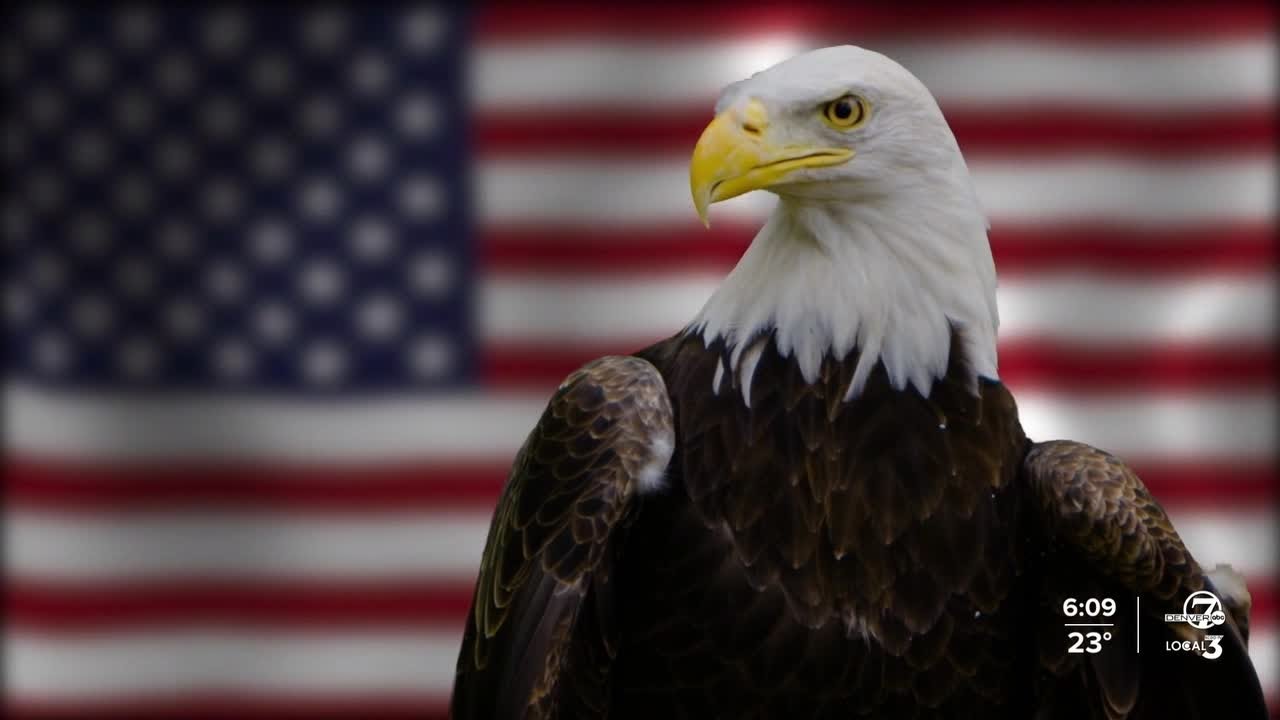 Biden signs a bill officially making the bald eagle the national bird of the US
