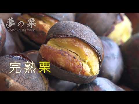 29/12/2020 (ter) Castanha dos sonhos Conectando cidades natais e paralelepípedos ▽Revitalização regional com castanhas de marca! Conectando sentimentos pela cidade natal