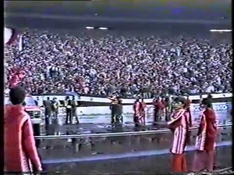 Делије Север 1989 - Нек живи Звезда