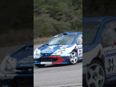 206 Maxi #motorsport #race #car #sound #flat #racing #rally #rallye #drift #cars #peugeot #206