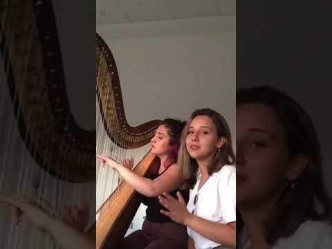 Selin Körükoğlu - Ayrılık (Cover)