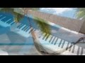 Steven Cravis - Hammock in the Philippines | Piano