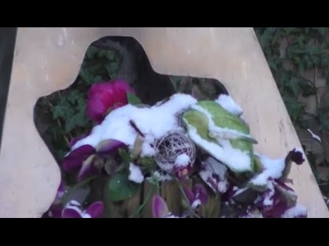 RAAD-VIDEO Dalfsen [13] - mooie bloemen, maar waar