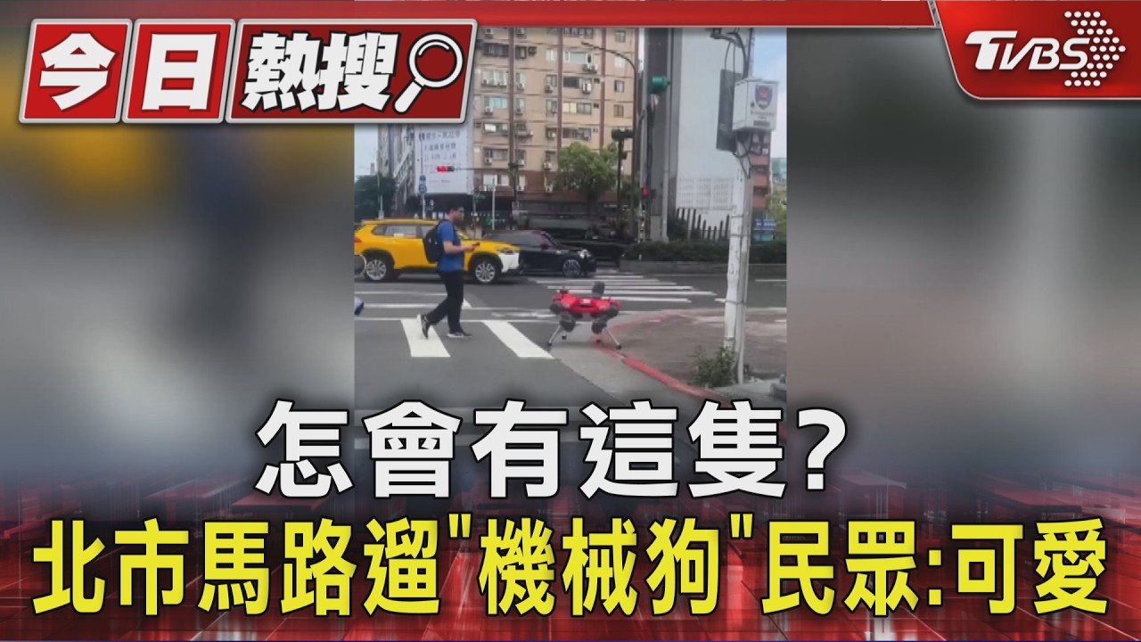機械狗現身北市街頭!「過馬路」影片爆紅 全台5隻背後用途曝