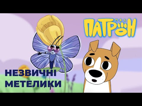 Дмитро Каднай - відео обкладинка