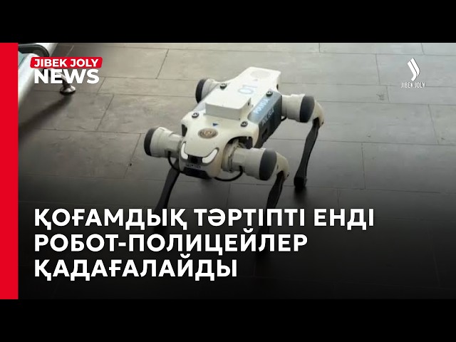 Қостанайда робот-иттер патрульге шықты