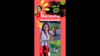 Download lagu Who's Your Best?? 😆 l Anak Kucing Meong-Meong l Tiktok Compilation mp3 Download lagu Who's Your Best?? 😆 l Anak Kucing Meong-Meong l Tiktok Compilation mp3