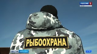Какие правила ловли рыбы весной в псковской
