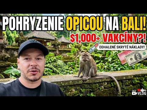 Opatrne s opicami, dokážu vám pokaziť dovolenku | Bali, Indonézia