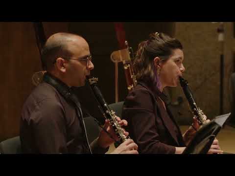 Rossini: Concerto for bassoon and orchestra | Israel Camerata Jerusalem | Avner Biron | Mor Biron