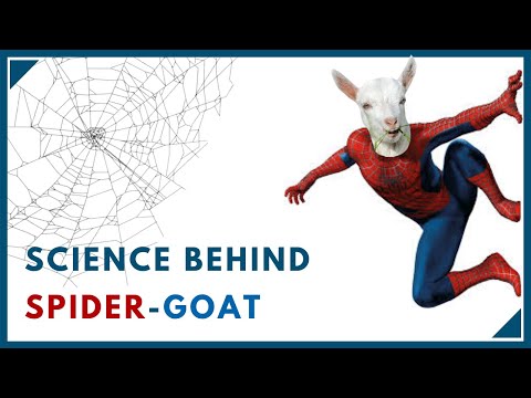 Spider Goat: A genetic miracle! | Science explained in Hindi