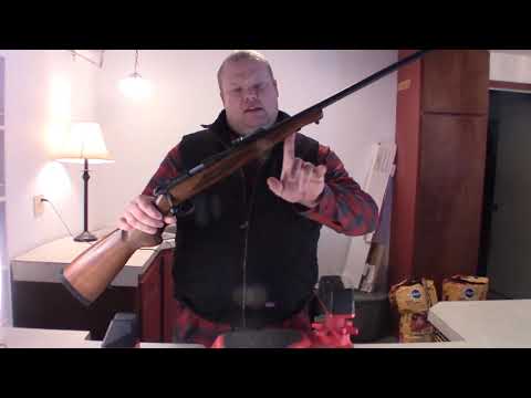 22 long rifle review: escort!!