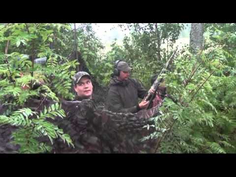 Korpi Makasiini 4/2013 kyyhkyjahti