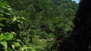preview picture of video 'L'école de la Jungle - Honduras 2013 - Nuevo Destino'
