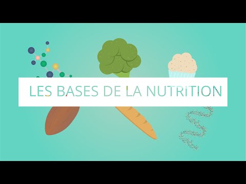 The Basics of Nutrition