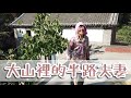 大山裡半路夫妻的奇異婚姻，農忙的時候各回各家乾活！滿堂兒女不如半路夫妻，老太太遇到了不順心事，聽聽啥原因？