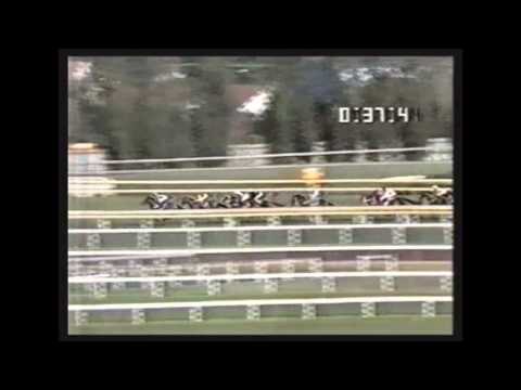 Our Maizcay Caulfield Guineas