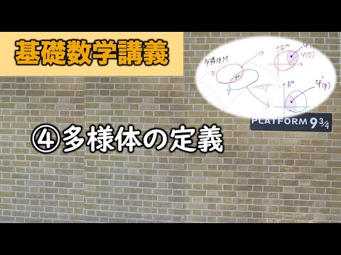 ヤレルセキレイ (Motacilia alba yarelli)