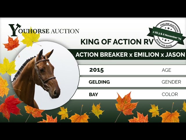 King of Action showvideo