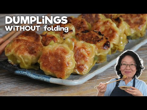 Easy No-Fold Chicken Dumplings