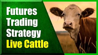 Futures Trading Strategies | Trading Options on Live Cattle