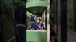 Download lagu Forest Kopi Batang / Naik Kereta api di Gunung 😍 mp3