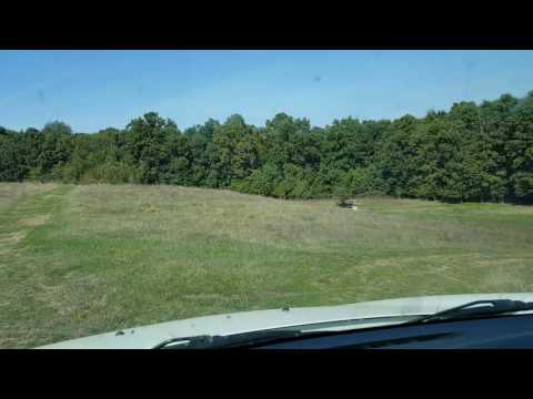 PADUREA Tatarastii de Jos (Slavesti)Teleorman