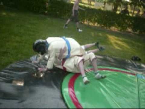 Little Sumo-Wrestlers going Wild !