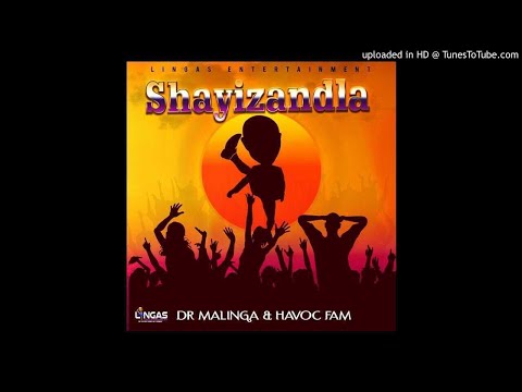 Dr Malinga & Havoc Fam-Shayizandla