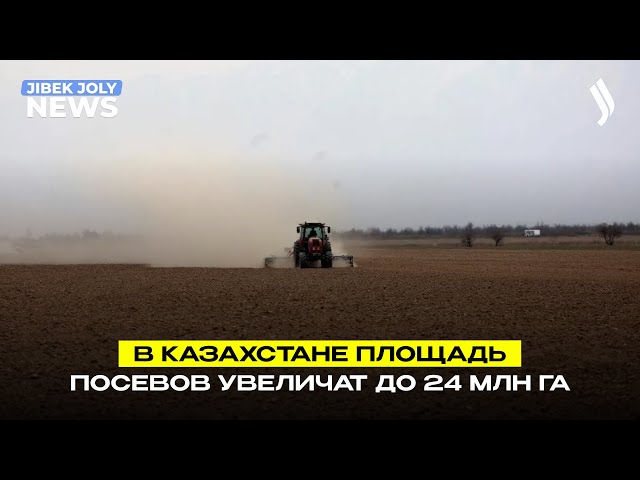 В Казахстане площадь посевов увеличат до 24 млн га