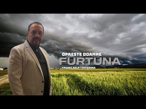 Vadari de la Timișoara - Oprește Doamne Furtună ( nou 2025 )