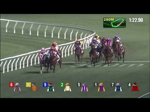 27/4/2022 (622) Viva Hunter -  J Moreira