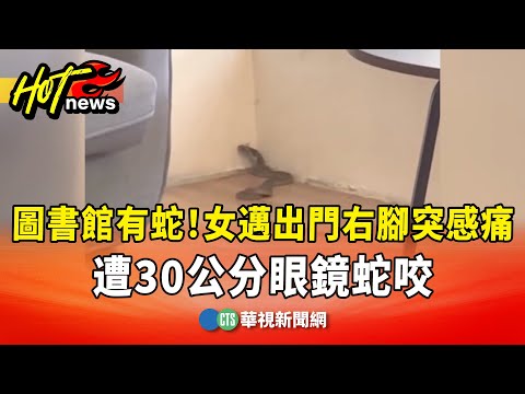 圖書館有蛇！女邁出門右腳突感痛　遭30公分眼鏡蛇咬