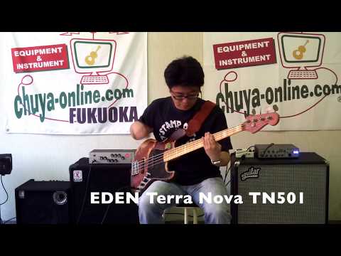 ベースアンプ弾き比べ！EDEN Terra Nova TN501 ＆ AGUILAR TONE HAMMER 500
