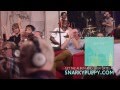 Snarky Puppy - Sleeper (We Like It Here)