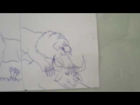 indian gaur vs american bison