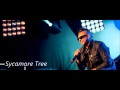 Sean Paul - Sycamore Tree ft. Tami Chynn 