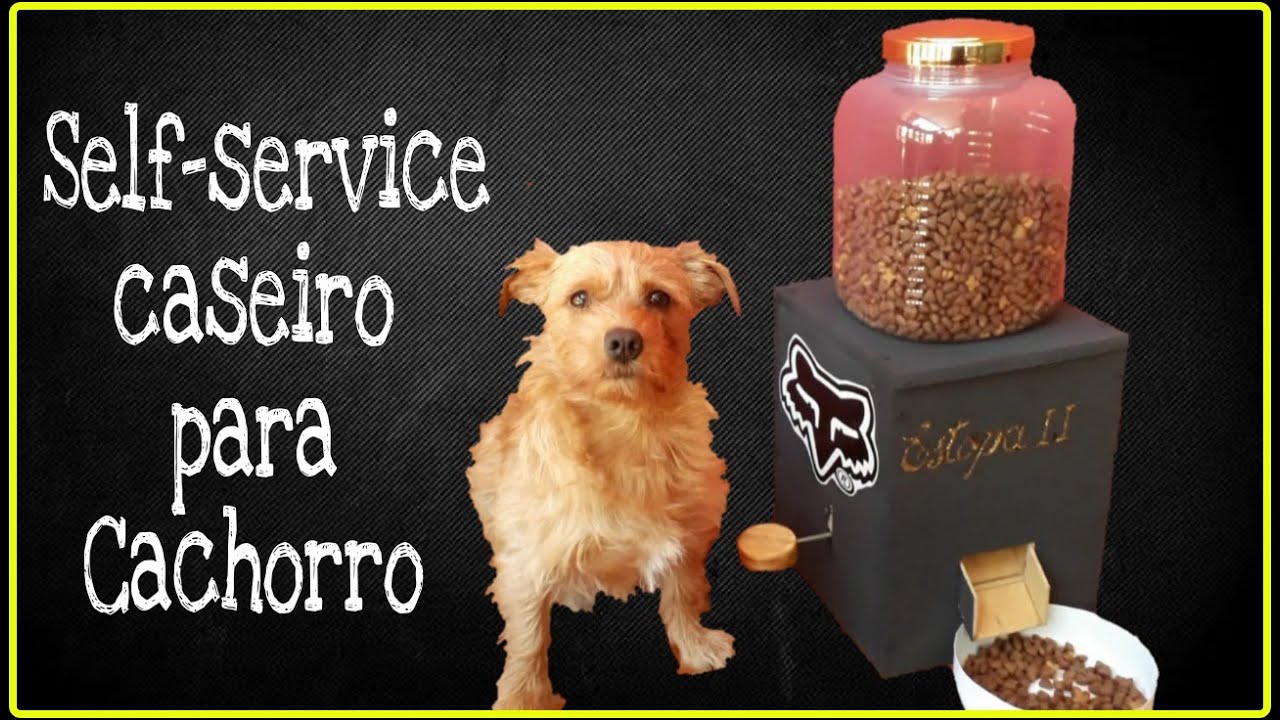 Comedouro Automático para cachorro! Faça Você Mesmo!       DIY Dog Food Dispenser!!!