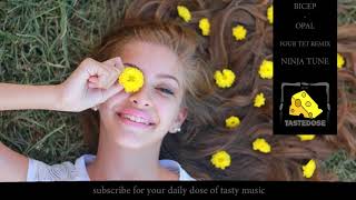 Bicep - Opal(Four Tet Remix) [Ninja Tune]