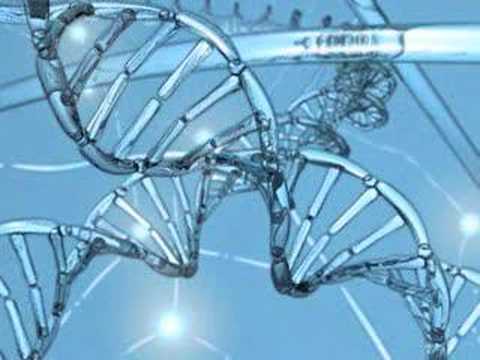 CSI Zwijndrecht Intro