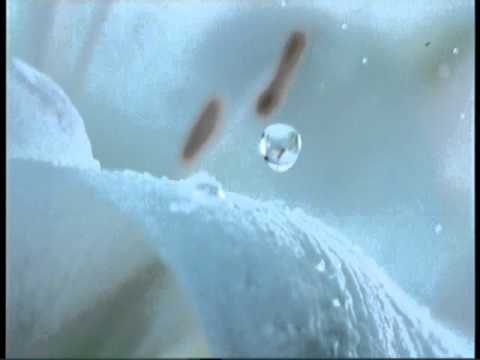 Paginademedia - SpotON: Dorna