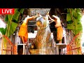 🔴LIVE | நேரலை | 2021 | Tiruvannamalai Temple Pradosham live 02-12-2021