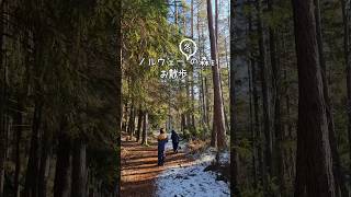 【ノルウェー子育て】週末は近所の森でお散歩 #海外子育て #国際ファミリー #北欧 #ノルウェー #norway