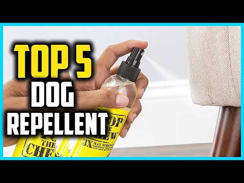 ✅Top 5 Best Dog Repellent Spray in 2024 Reviews