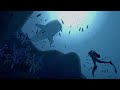 Best VGM 232 Endless Ocean Prayer