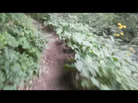 TRASEU IN MUNRII BUCEGI Telecabina Busteni   Valea Jepilor Mici   Cabana Caraiman   Crucea Eroilor N