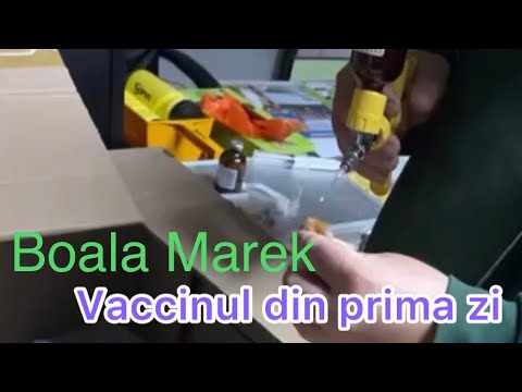 , title : 'Boala Marek la puii de gaina vaccinarea aduce 100% protectie'