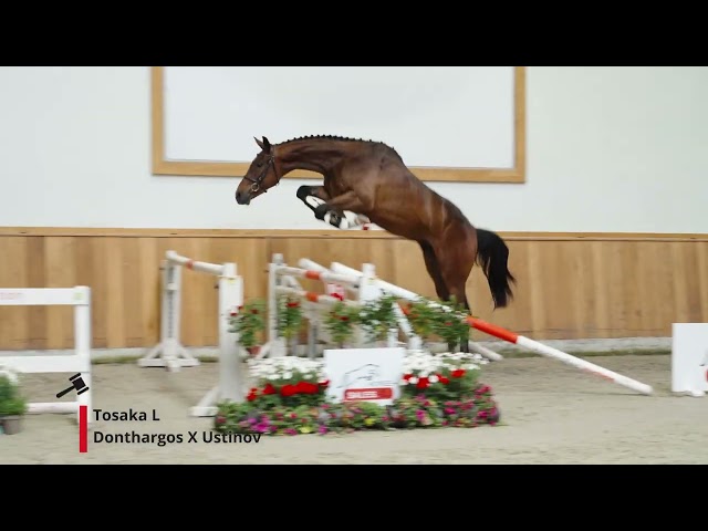 Tosaka L
